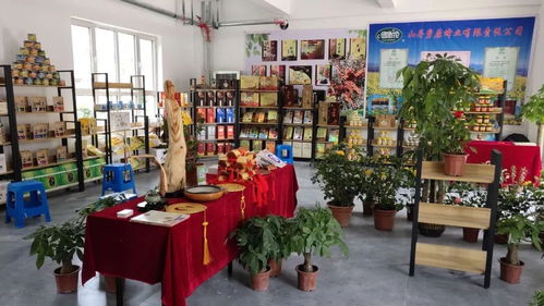 我縣文化精品閃耀張掖敦煌寫經(jīng)書(shū)法藝術(shù)節(jié)